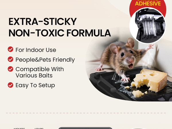 Wowcatch Mouse Glue Traps