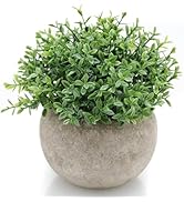 Velener Mini Sage Green Potted Boxwood Topiary Artificial Plants for Home Decor Indoor, Farmhouse...