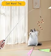 Janbenty 4-in-1 Interactive Cat Feather Toys with Retractable Fishing Pole and Enhanced Suction C...