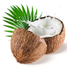 Coconut Oil