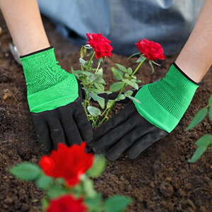 garden clipper