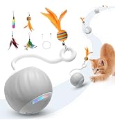 Interactive Cat Toys Ball - Electric Automatic Toys for Indoor Cats, LED Lights and Toys Feather ...