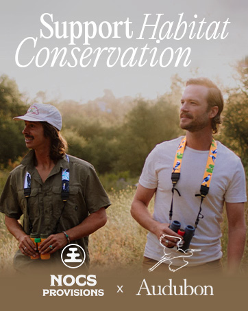 Audubon collaboration