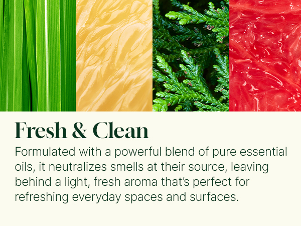 fresh clean scent