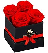 Forever Flowers Roses in A Box,Real Preserved Flowers,Preserved Roses,Preserved Flowers for Deliv...
