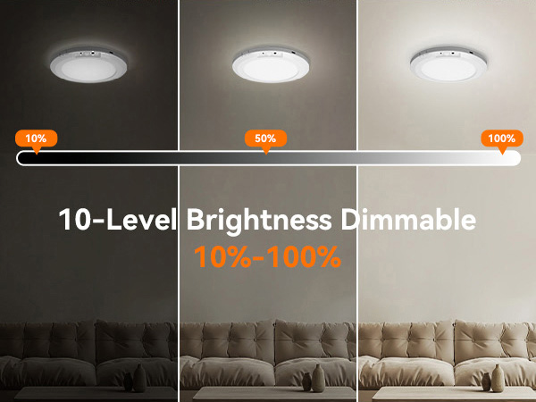 Motion Sensor Ceiling Light