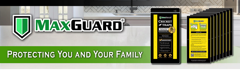 Protecting You and Your Family