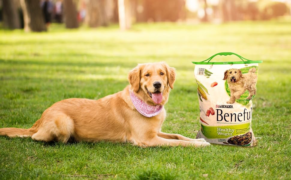Dog laying next to a bag of Beneful Dog food sealed with a 17" Gripstic handle.