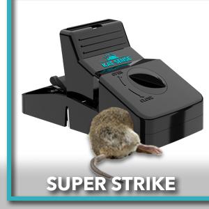 flip way multiple catch moise chipmonk pro kit rid stations kid proof enclosed muskrat bite homes