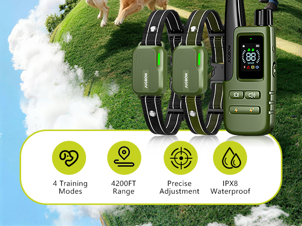 shock collar
