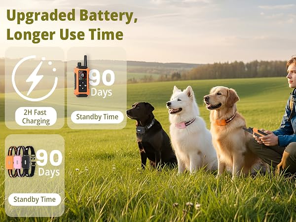 charging dog collars for 3 dogs