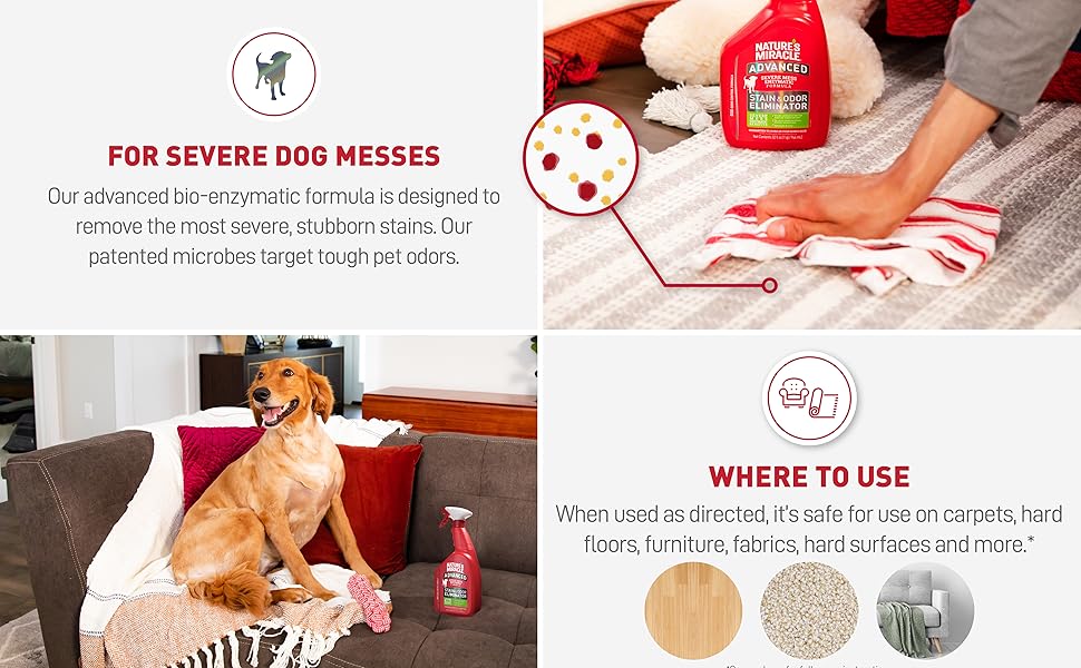 For Severe Dog Messes