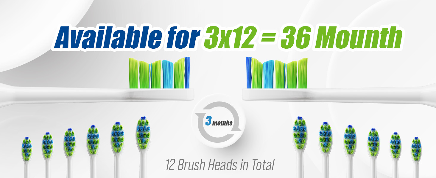 12 toothbrush head