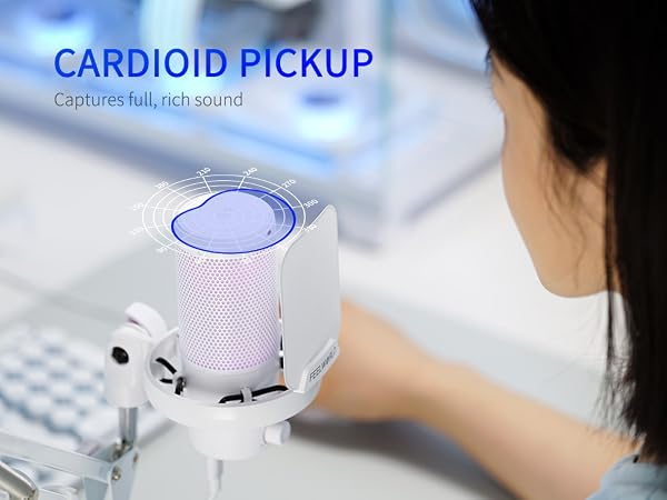 Cardioid Pickup