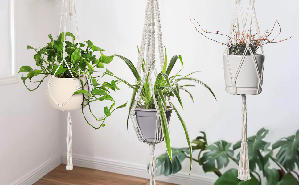 hanging plant holder