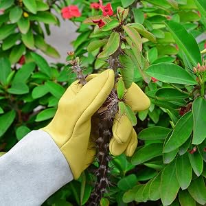 Rose Pruning Gloves gardening hand tools gloves tool cat gloves heavy duty gloves thorn proof glove