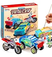 JOYIN Kids Craft Kit Build & Paint Your Own Wooden Race Car Art & Craft Kit DIY Toy Make Your Own...