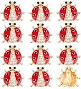 PH PandaHall 12pcs Rhinestone Ladybug Brooch Pins Set 1 inch | Red Alloy Enamel Animal Insect Lap...