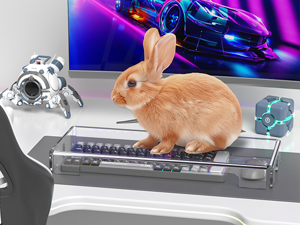 computer keyboard pet cover