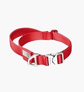 BuddyArmor Heavy Duty Dog Collar with Handle Nylon Quick-Release Metal Buckle Collar Adjustable S...