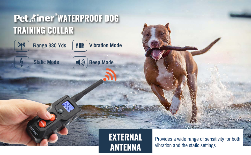 dog training collar