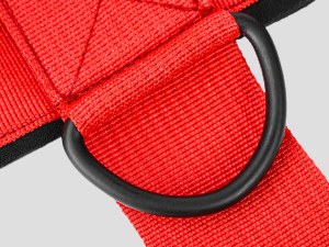 neck strengthener