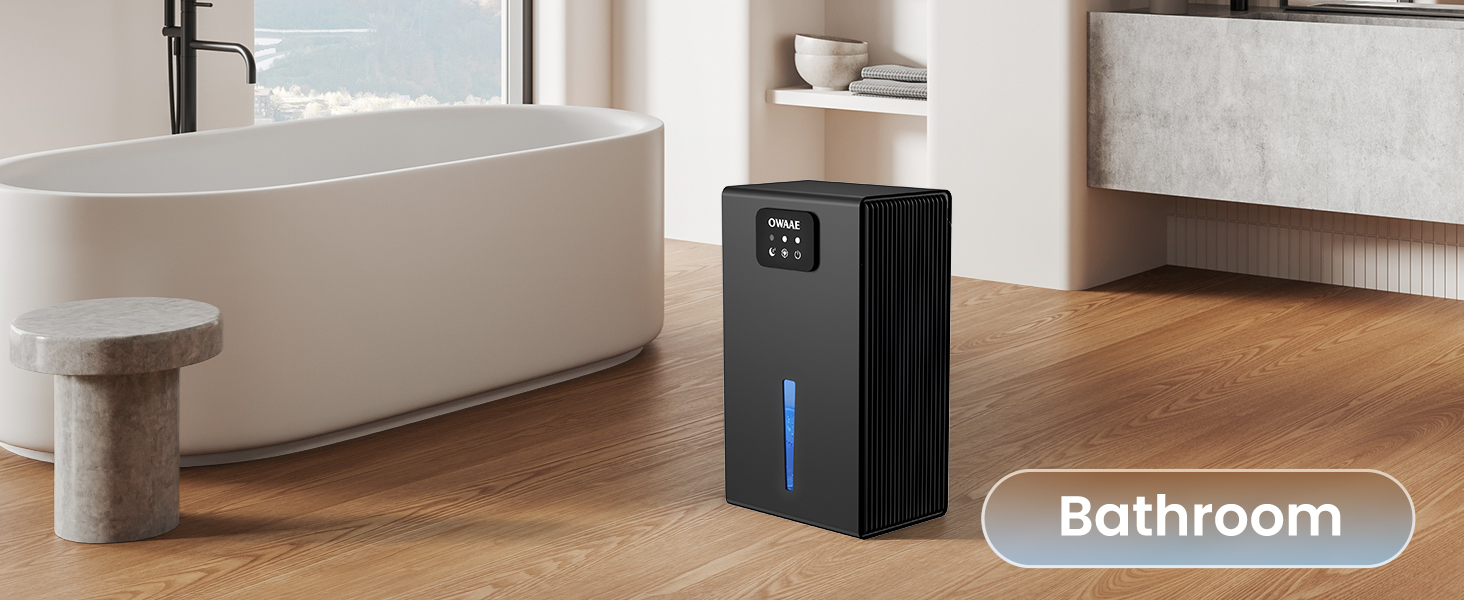 dehumidifier for bathroom