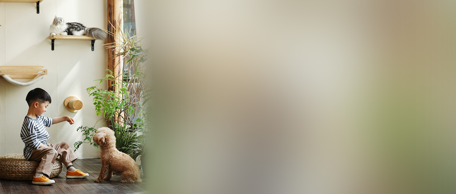 ???? BANNER