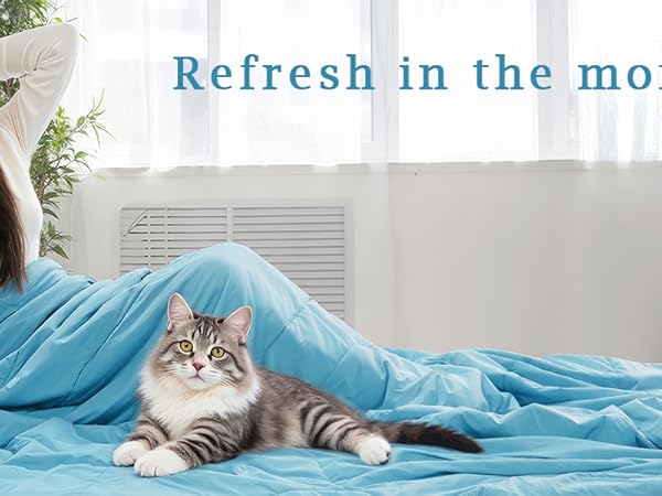 refresh in the morning