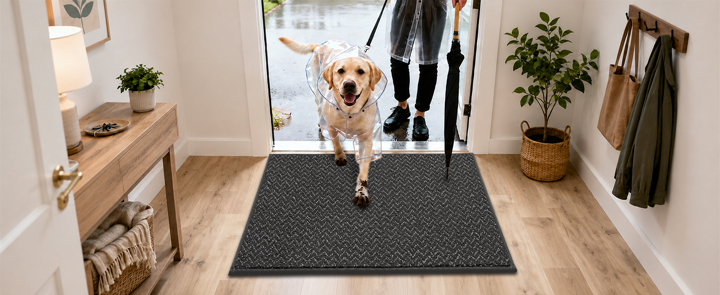 door mat indoor entrance