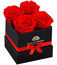 https://m.media-amazon.com/images/I/41VKkLAZm7L.__AC_SR200,225___.jpg