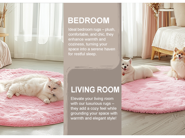 area rug