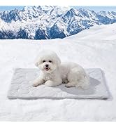 ZOMISIA Cooling Blanket for Small Dogs - High Q-MAX 0.4+ Cold Washable Cat Mat, Travel Soft Pet S...