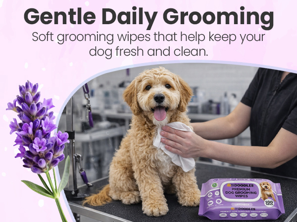 Natural pet wipes with gentle ingredients for dogs