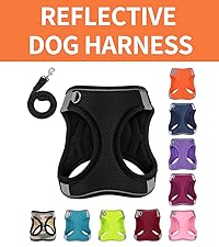 https://m.media-amazon.com/images/S/aplus-media-library-service-media/32aea33d-88ff-43b2-a33a-cf1f2900461a.__CR0,0,1000,1125_PT0_SX200_V1___.jpeg