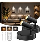 GOODEA Spotlights Indoor with Remote, 5500mAh Rechargeable Battery Plant Spotlight Indoor, Wirele...