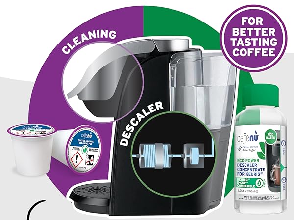 Cleaning vs Descaling