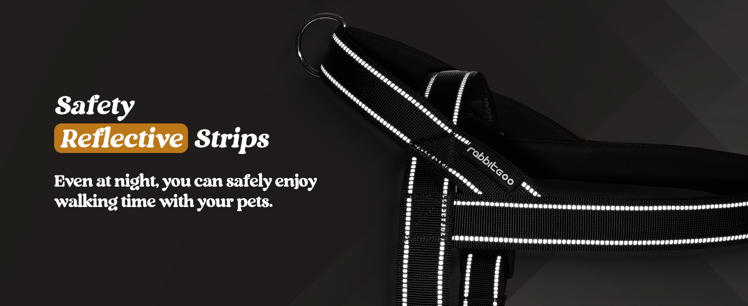 dog harness