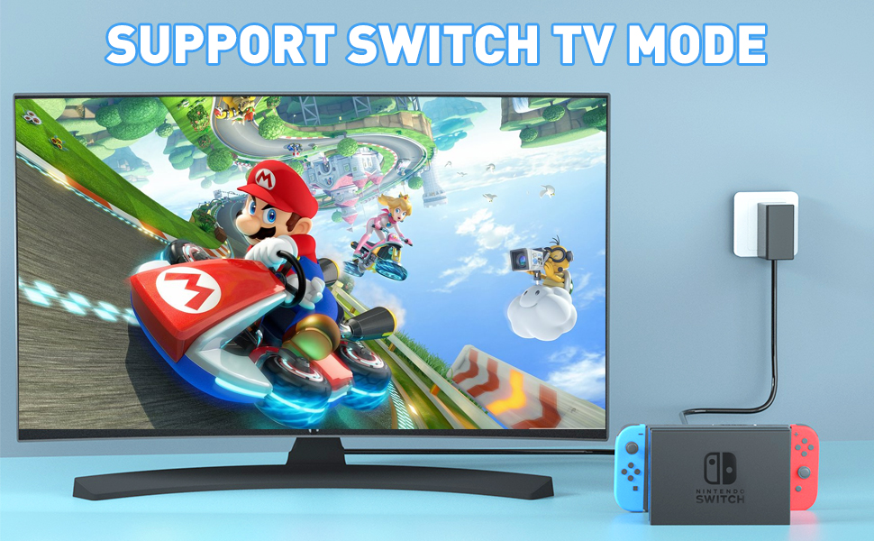 nintendo switch charger