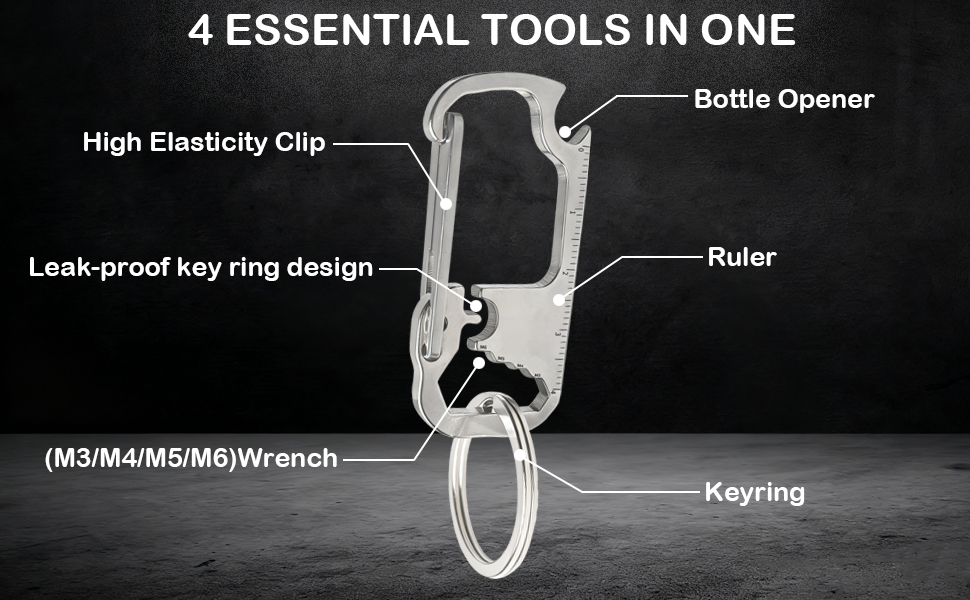 Keychain Carabiner Clip for Keys