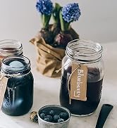 Mason Jars 16 oz with Plastic Lids (BPA Free) Pint Mason Jars Regular Mouth (set of 2 - White) by...