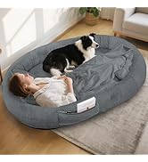 IVY&LANE Human Dog Bed for Adult,Human Sized Dog Bed for People Giant Bean Bag 71