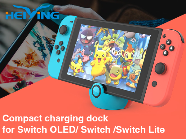 Swith charging dock