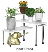 Plant Stand