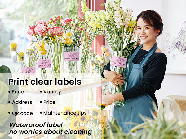 Fan-Fold Labels Shipping Supplies