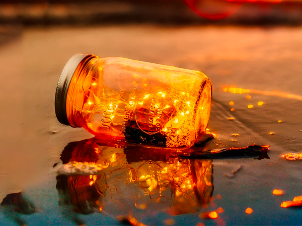 led fairy lights