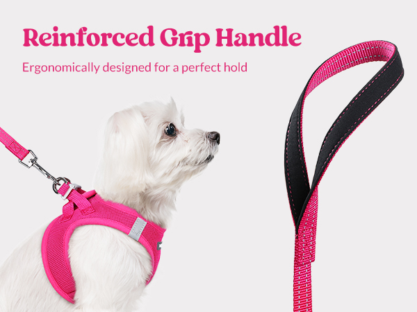 dog harness and leash set padded handle