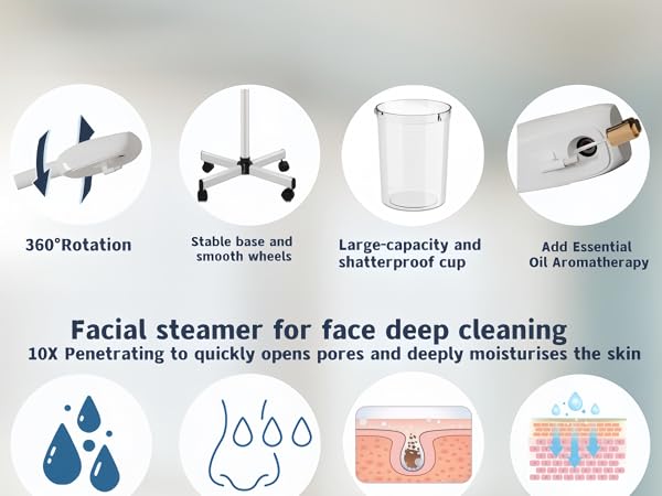 face steamer for facial