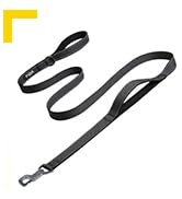 Fida 6 FT Heavy Duty Dog Leash with 2 Comfortable Padded Handles, Traffic Handle & Advanced Easy ...