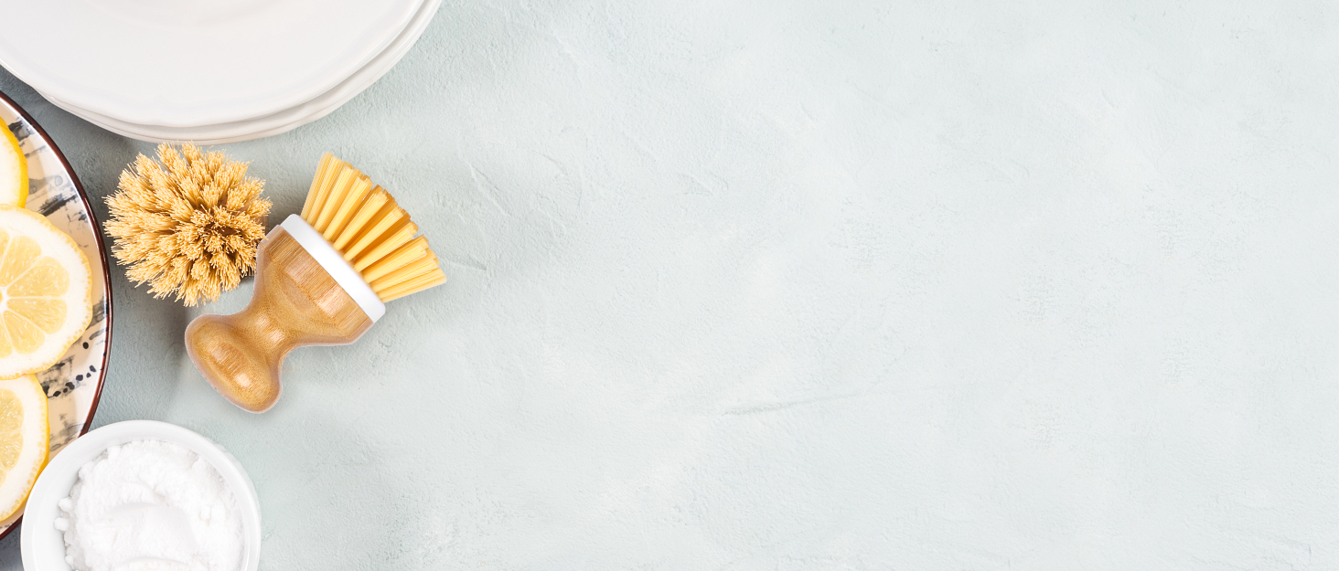 Bamboo Dish Brush